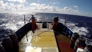 Commercial Albacore Jig fishing 2016 [upl. by Aggi]