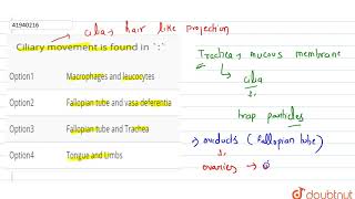 Ciliary movement is found in [upl. by Aizirk]