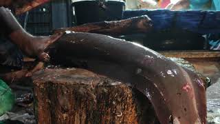 Amazing Big Magur Fish Cutting Skills In Fish Market  Fish Cutting Skills [upl. by Othello126]