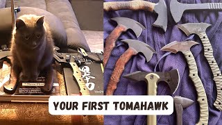 How To Select A Fighting Tomahawk  Winkler Tomahawk  Cold Steel Trenchhawk  Empress Tomahawk [upl. by Sonja]