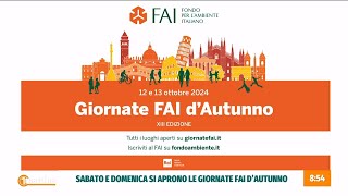 FAI  Le giornate dautunno  Unomattina 08102024 [upl. by Winny]