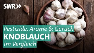 Knoblauch im Test Wie gesund ist die Knolle wirklich  Marktcheck SWR [upl. by Anaujahs627]