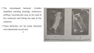Study of stereotype activity in ratsmice [upl. by Anrol61]