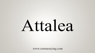 How To Say Attalea [upl. by Adiell]