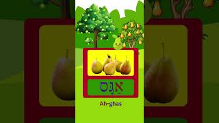 How To Say Pear In Hebrew fun hebrew viral fruit israel kids learning school shorts fyp [upl. by Ahsaetan]