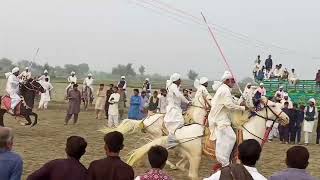 Horse riding club sajjad ahmed khan seehar Horse farm in Pakistan Roshan stars [upl. by Devin]