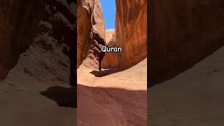 Jannatul firdaus quranurdutranslation shortvideo viralvideo quranislam muslim ytshorts short [upl. by Graig]