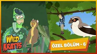 Kratt Kardeşler  2 Bölüm Bir Arada  6  Çizgi Film  minikaGO [upl. by Westberg]