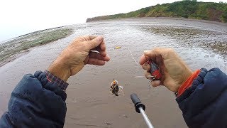 3 Days Fishing on the Beach  Big Eels Rigs Tips and Tactics NIGHT FISHING [upl. by Chancelor667]