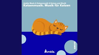 Katzenmusik Beruhigend [upl. by Reh]