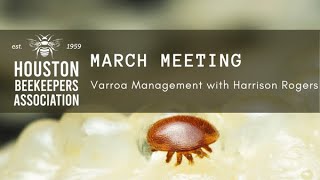 Houston Beekeepers Association  Varroa Management [upl. by Asserrac408]