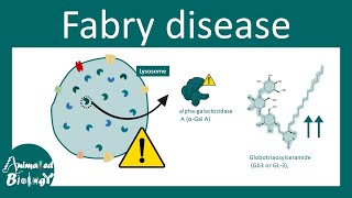 Fabry disease  Lysosomal storage disorder [upl. by Espy579]