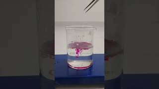 Sodium metal amp phenolphthalein in water Know your metals trending education chemistry shorts [upl. by Ledua]