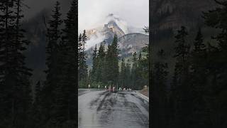 Banff National Park Entrance [upl. by Freeland566]