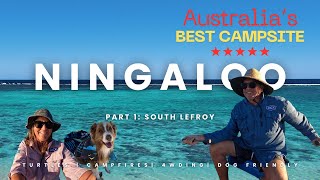 Ningaloo Caravan Adventure Australia’s Most Epic Campground [upl. by Anoynek]