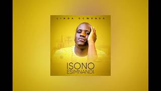 Linda Gcwensa  Isono Esimnandi official audio [upl. by Simonetta489]