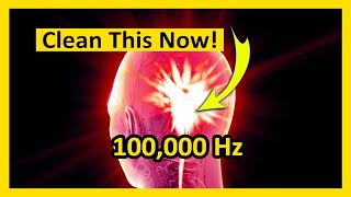 ᴴᴰ 100000Hz • Break Toxins Off Pineal Gland • Targets Free Radicals The Quantum Miracle Frequency [upl. by Notxarb]