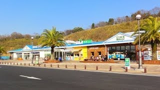 市原サービスエリア（下り） 館山自動車道 リニューアルオープン 千葉県市原市） [upl. by Alenas]