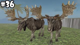 Wild Animals Online  Moose Group Battle AndroidiOS  Gameplay Episode 36 [upl. by Donaldson552]