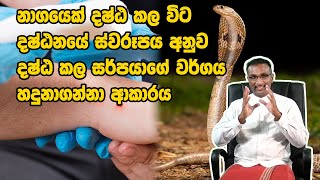 නාගයෙක් දෂ්ඨ කල විට දෂ්ඨනයේ ස්වරූපය අනුව දෂ්ඨ කල සර්පයාගේ වර්ගය හදුනාගන්නා ආකාරය [upl. by Noicpesnoc63]