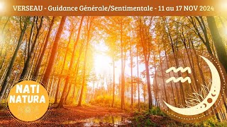 VERSEAU ♒ Du 11 au 17 NOVEMBRE 2024🌟 Compétition dans lair mais vous êtes UN LION 🌟GUIDANCE [upl. by Eniluap]