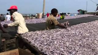 Un projet à succès de la FAO au Burundi Appui à la technologie postcapture de poisson [upl. by Airam]