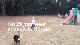 Na 29 jaar weer sneeuw in Florida ‘Dat ik dit nog zou meemaken’  RTL NIEUWS [upl. by Ejrog]