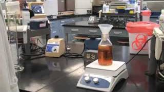 Agar Plate Pouring [upl. by Lleynad387]