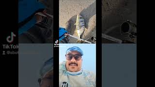 New Fishing Trip saltlife fishing fish explorefyp viralvideoviralshorts castingshorejigging [upl. by Yevette376]