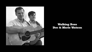 Walking Boss  Doc amp Merle Watson [upl. by Marys]