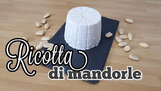 Ricotta di mandorle fatta in casa Ricetta vegana facile e veloce Formaggio per dolci e salati [upl. by Vasileior]