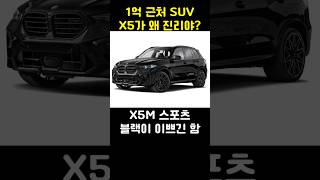 BMW X5가 왜 진리야 [upl. by Olra674]