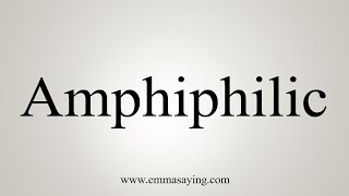 How To Say Amphiphilic [upl. by Ayim]