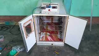 ful latomatic 350 🥚 Capacity Incubator machine 91012 73660 📞 91012 73660 Whatsap [upl. by Ahsiemac290]