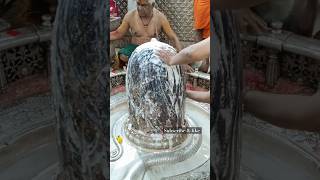 Spiritual mantra mahamrityunjay mantra mahakal mahadev Jyotirlinga bhole tseries shortsfeed [upl. by Sapphera582]