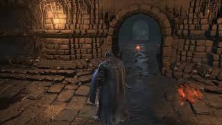 Dark Souls 3  34 Smouldering Lake  Old Sages Blindfold Witch Ring [upl. by Magen]