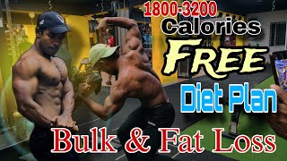 Free Diet Plan for Bulk or Cut [upl. by Albarran]