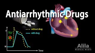 Antiarrhythmic Drugs Animation [upl. by Teerell]