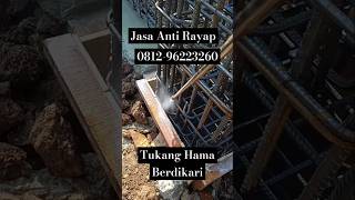 Jasa anti rayap bergaransi WA 081296223260 PT Tukang Hama berdikari rayap shortvideo [upl. by Aenil]