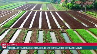 Aziende agricole calabresi 40 mln per domanda unica biologico e altre misure [upl. by Googins]