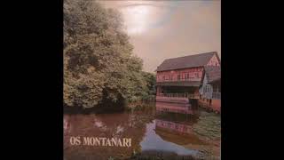 OS MONTANARI  A felicidade quotLa Felicidadquot 1969 STEREO ALTA QUALIDADE [upl. by Elrebmik]