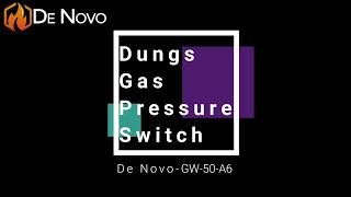 Dungs Gas Pressure SwitchGW 50 A62023 [upl. by Prissy455]