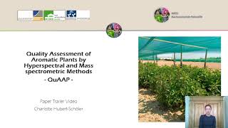 Effect of Different Postharvest Methods on Essential Oil Content and Composition of Mentha Genotypes [upl. by Tserrof]