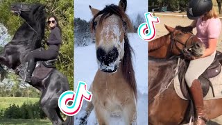 The Best HORSE  TikTok Compilation 87 [upl. by Zorah]