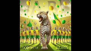 💚💛💚La XELECTA Bucaros💚💛💚 [upl. by Leith996]