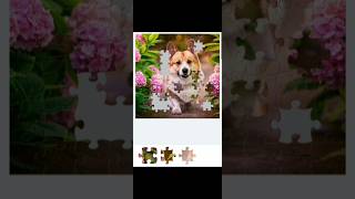 Jigsaw puzzle game 13 games jigsawpuzzle [upl. by Adham]