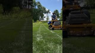 Lawn care Mowing Fescue in the Midwest [upl. by Arty947]