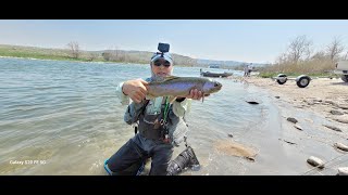 Catching Big Trout All Day North Platte River Epic Fly Fishing WY 2023 part one [upl. by Ativet326]