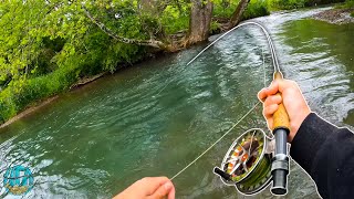 STREAMER FLY FISHING FOR GIANT BROWNS  Best Day of Trout Fishing [upl. by Lynden862]