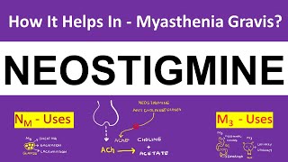 Pharmacology  Neostigmine  Myasthenia Gravis  5 Uses and Side Effects [upl. by Artemisia988]